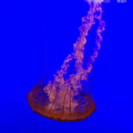 Le Cabestan アパート *