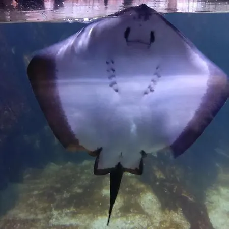 Le Cabestan * La Jarne